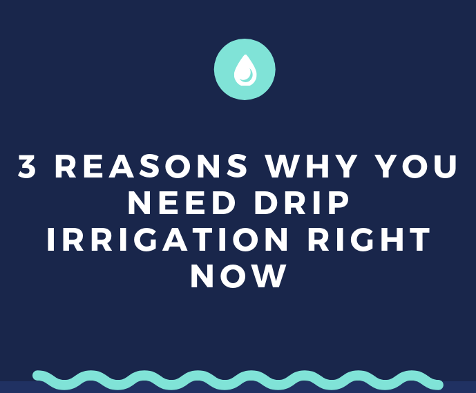 Beginner/Intermediate Gardeners: 3 Reasons Why You Need Drip Irrigation Right&nbsp;Now