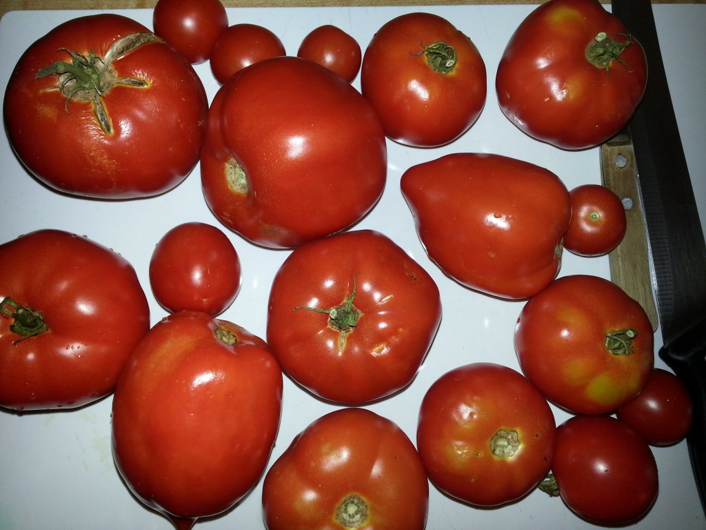 Fresh from the Garden Tomato Sauce&nbsp;Recipe