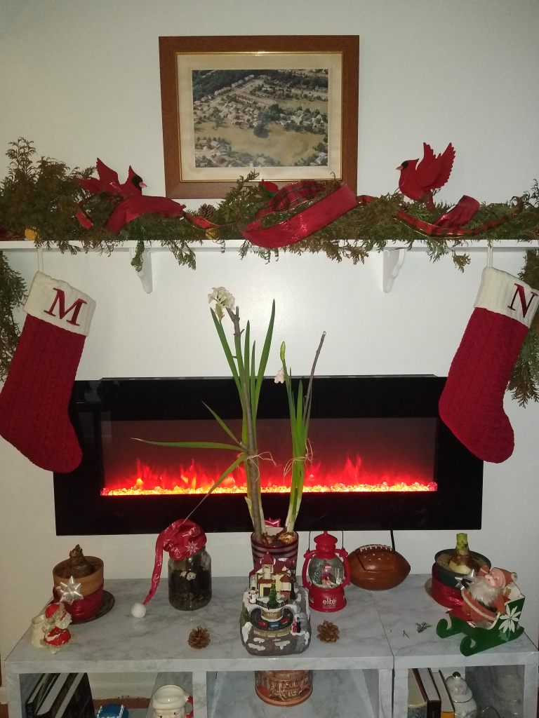 fresh Christmas garland tutorial picture