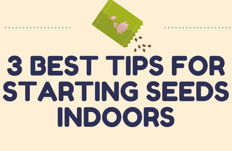 Beginner/Intermediate Gardeners: 3 Best Tips for Starting Seeds&nbsp;Indoors