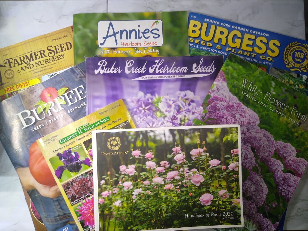 2020 Plant & Seed Catalog&nbsp;Reviews
