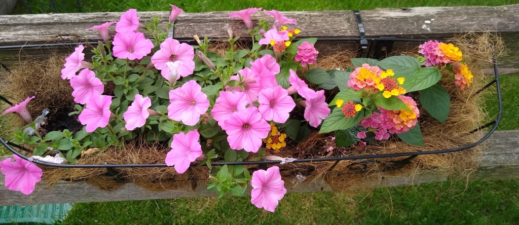 Flowerful Fence Basket&nbsp;Tutorial