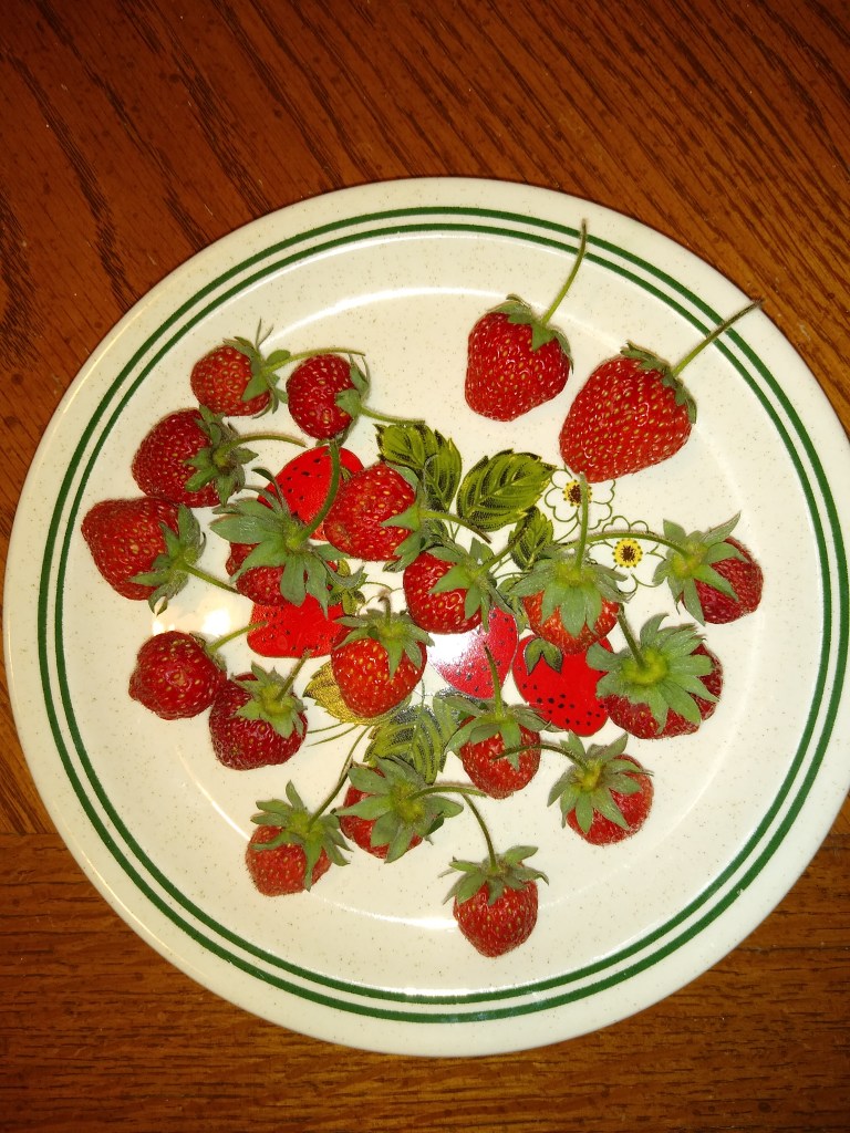 homegrown strawberries picture