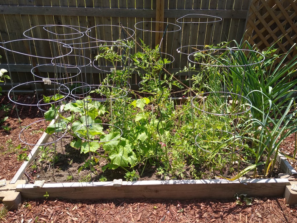 Victory Garden Guide: Grow it&nbsp;Yourself