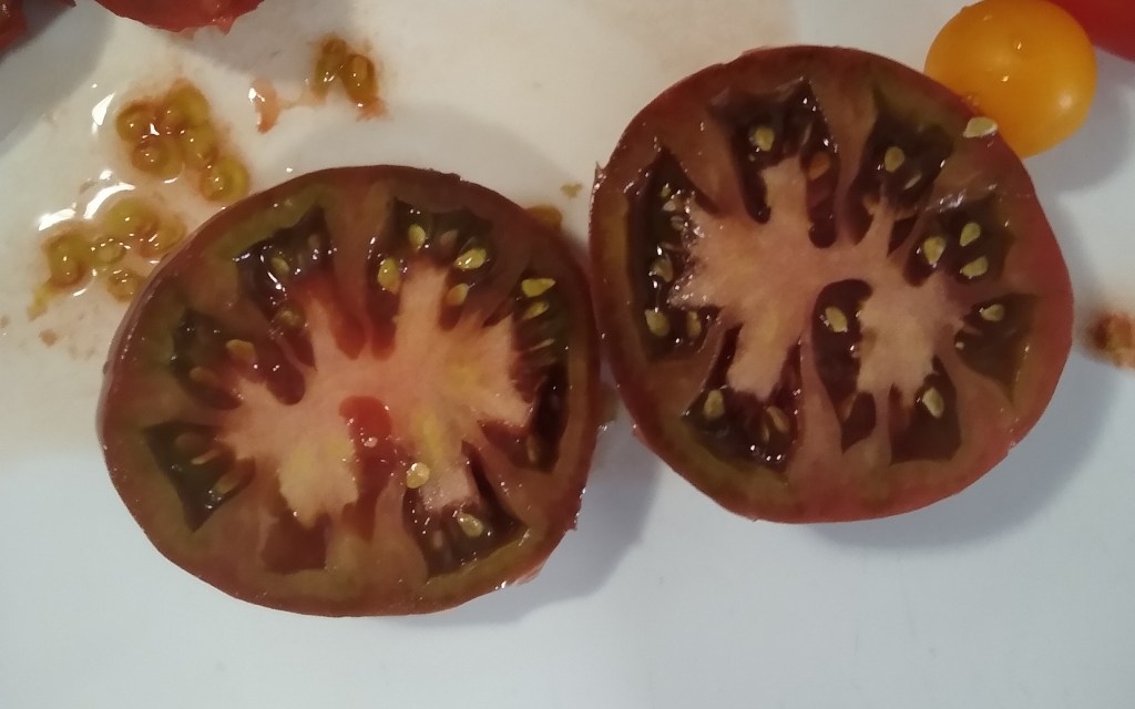 How to Harvest Tomato Seeds Now for Free Tomato Plants&nbsp;Later
