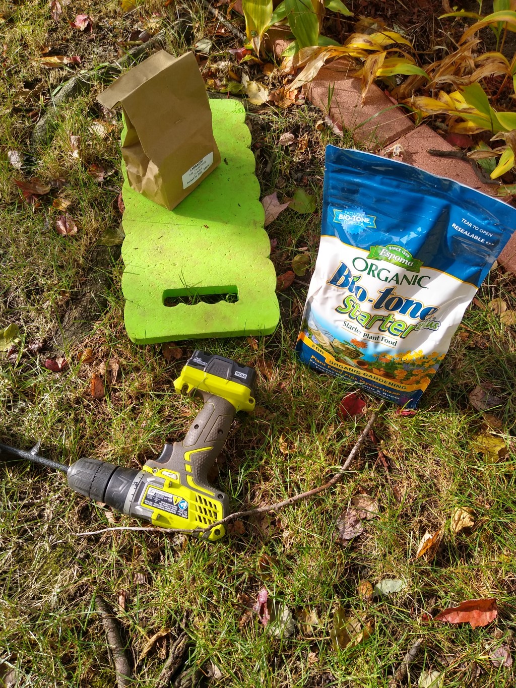 The Easiest Way to Plant Tulips&nbsp;Ever